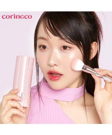 Mini Makeup Brushes Travel Set - LED Mirror Multifunctional Eyebrow & Blush Brush - Pink Roll Brush for Easy Application & On-the-Go Beauty - Buy Online on GoSupps.com