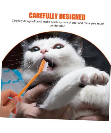 BESPORTBLE 8pcs Double Head Dog Toothbrush Pet Toothpaste Large Dog Toothbrush Dog Chew Toothbrush Pet Brush Pp - Buy Online on GoSupps.com