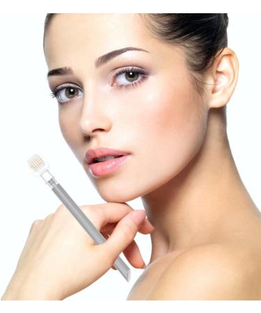 Rouleau Sourcils en Acier Inoxydable T te Interchangeable Outil de Massage et pilation pour Sourcils et Cheveux Accessoire de Soin Visage pour Usage Professionnel et - Buy Online on GoSupps.com