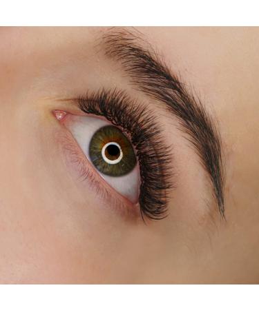 Buy Promade Lash Fans | Russian Volume | Soft Dark Lashes | CC & D Curls | 0.07mm Sizes 8-14mm Quality Fans for Stunning Eyelash Extensions - Buy Online on GoSupps.com