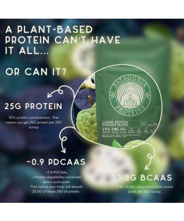 Vegan Protein from Patagonia | Inca Cherimoya | 25g Protein Non-GMO Sugar-Free Gluten-Free | 1 Serving Pack - Buy Online on GoSupps.com