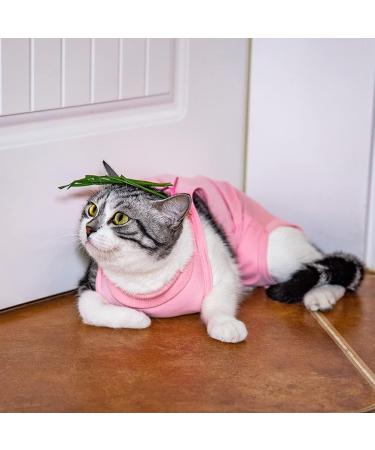 Recovery Suit for Cats - Postoperative Litter Clothing for Belly Wounds & Skin Diseases | Soft Indoor Pet Outfit (S Pink) - Ideal for Cats Under 5 Months - Buy Online on GoSupps.com
