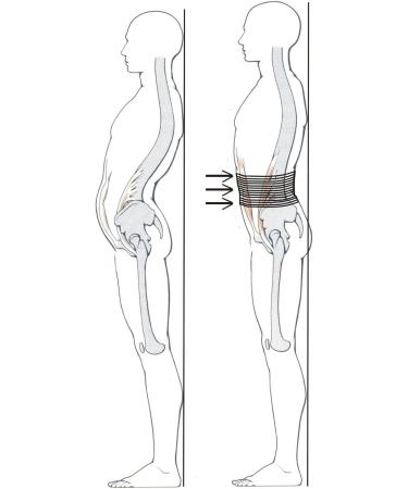 Buy Abdominal & Back Support Belt - Size 3 (110-130 cm Waist) | International Shipping Available - Buy Online on GoSupps.com