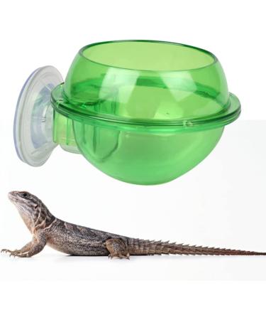 Mipcase 2pcs Tools Tortoise Water Dish Reptile Supplies Pet Stuff Reptile Feeder Sucker Turtle Pet Supplies - Buy Online on GoSupps.com