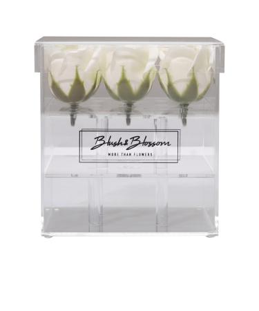 Blush & Blossom Blush & Blossom Set of 9 rose petals in a transparent box - Cream color