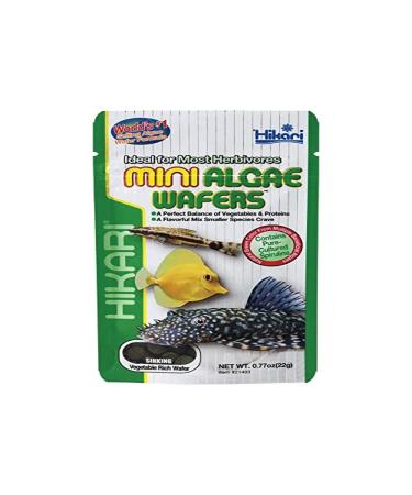 Hikari Mini Algae Wafers - 0.77 oz 0.77 Ounce (Pack of 1)