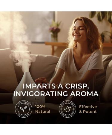 Eucalyptus & Peppermint Oil for Diffuser Set - Essential Oils Aromatherapy Roll On with Essential Oil Set - 2x0.34 fl oz - Gya Labs - Buy Online on GoSupps.com