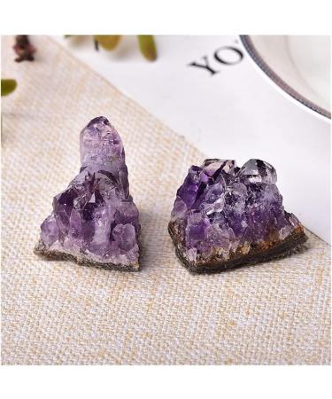 1PC Natural Amethyst Cluster Quartz Raw sStone Decoration Ornament Purple Feng Shui Stone Ore Crafts (Color : Random Delivery Size : 1PC) ningxiao 1PC Random Delivery - Buy Online on GoSupps.com