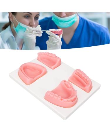 Oral Suture Training Kit - High Simulation Dental Suture Set with Forceps | Silicone Model for Clinics - International Shipping Available - Buy Online on GoSupps.com