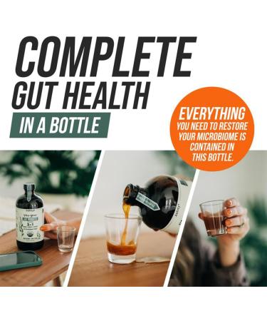 Auivty Flora Biome Live Probiotic Liquid 3-in-1 Probiotic + Prebiotic + Postbiotic 30 Billion CFU (at Time of Manufacture) 10 Strains Fermented Herbal Blend with 18 Herbs Shelf Stable 16 fl oz - Buy Online on GoSupps.com