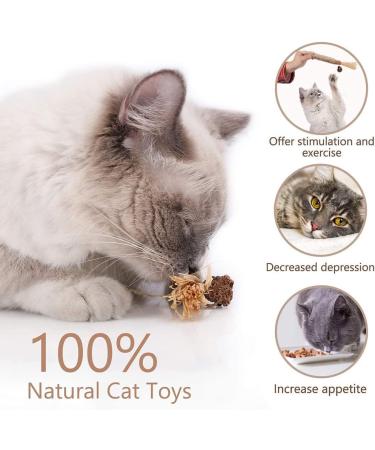 Tuibeidamai Matatabi Cat Toys - 6PC Catnip Dental Chew Sticks for Healthy Teeth & Fun Biting - Buy Online on GoSupps.com