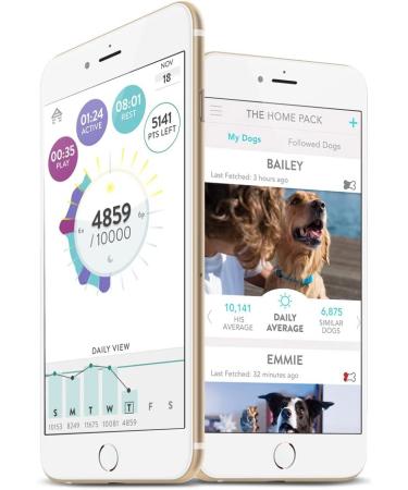 FitBark 2 Dog Activity Monitor | Health & Fitness Tracker | Waterproof & Lightweight (10g) - Buy Online on GoSupps.com