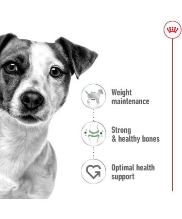 Royal Canin Mini Adult | 800 g | Complete food for small breed dogs | Omega-3 fatty acids for skin and coat | Adjusted energy content and adapted kibble size - Buy Online on GoSupps.com