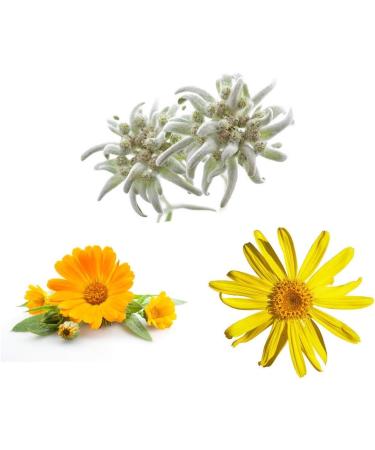 Tala Organics Tensi Off Children's Gel 50ml | Eco-Friendly Roll-On for Bumps & Bruises with Edelweiss Arnica & Marigold | Anti-Inflammatory Care - Buy Online on GoSupps.com