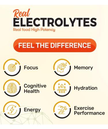 Focus+ Nootropic Electrolyte: Hydration & Brain Support for Cognitive Enhancement Memory Concentration - Citicoline Organic Caffeine Methyl B12 - USA Made (10 Packets) (10 Packets Orange) Orange 2.93 Ounce (Pack of 1) - Buy Online on GoSupps.com