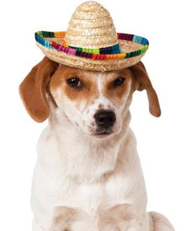 Kitatayi Mini Straw Sombrero Hat for Small Pets - Mexican Sombrero Party Hat for Dogs, Puppies, and Cats - Buy Online on GoSupps.com