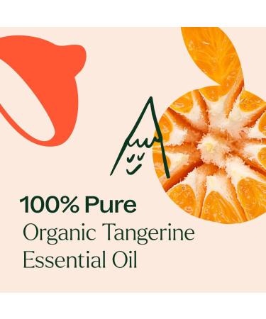 Plant Therapy Organic Tangerine Essential Oil 10 mL (1/3 oz) 100% Pure Undiluted USDA Certified Organic Aromatherapy Mood Boosting Immune Support - Buy Online on GoSupps.com