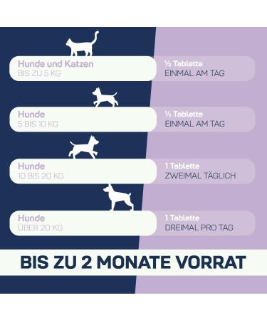 Suprapet ProBiostop - Probiotic Tablets for Dogs & Cats | 30 Natural Supplement for Gut Health with Inulin & Baobab - Buy Online on GoSupps.com