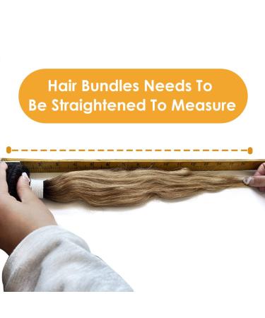 X-TRESS Ombre Honey Blonde Body Wave Human Hair Bundle - 18 Inch T1B/27 - Buy Online on GoSupps.com