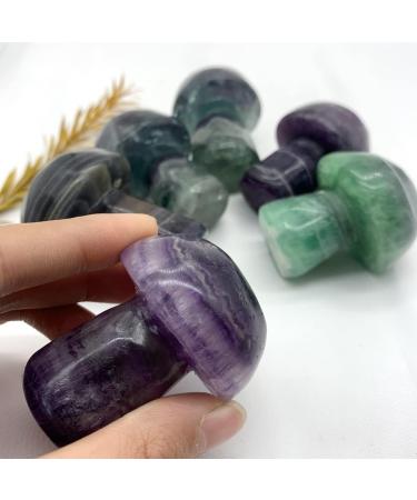 Specimen 1PC Natural Big Green Purple Fluorite Crystal Mushroom Shaped Polished Stone DecorNaturalStones and CrystalsStone Full of Texture - Buy Online on GoSupps.com