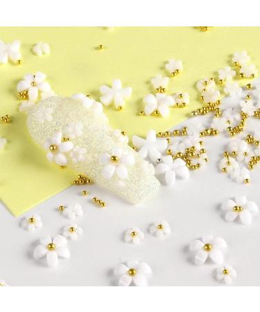 6 Bags Flower Nail Art Charms with Gold & Silver Beads - 1000Pcs 3D Five-Petal Flower Ornaments for DIY Nail Design - Nail Art Supplies - Buy Online on GoSupps.com