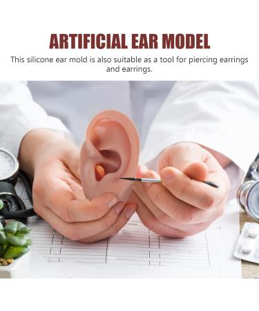 Sherchpry Right Ear Silicone Model - 6.5x3.5cm Ear Piercing & Massage Tool for Realistic Practice | International Shipping Available - Buy Online on GoSupps.com
