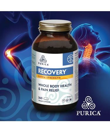 Purica Recovery Extra Strength - 360 Vegan Capsules - Joint Supplement with Glucosamine MSM and Betaine Hydrochloride Hyaluronic Acid for Knee Joint Support - Includes Vitamin C & E 360 Count (Pack of 1) - Buy Online on GoSupps.com