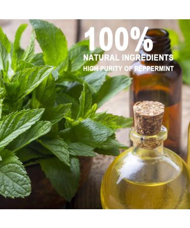 ANEWNICE Mosquito Repellent 12-Pack for Patio, Yard, Camping & Travel | Mint Scent - Buy Online on GoSupps.com