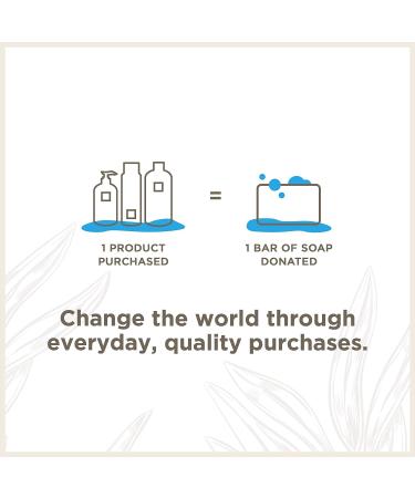 Soapbox Tea Tree Shampoo - Sulfate, Paraben, and Silicone Free, Color Safe, Vegan Hair Shampoo - 33.8 oz - Buy Online on GoSupps.com