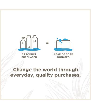 Soapbox Tea Tree Travel Size Conditioner 3.3oz - Pack of 6 | Best International Shipping - Buy Online on GoSupps.com