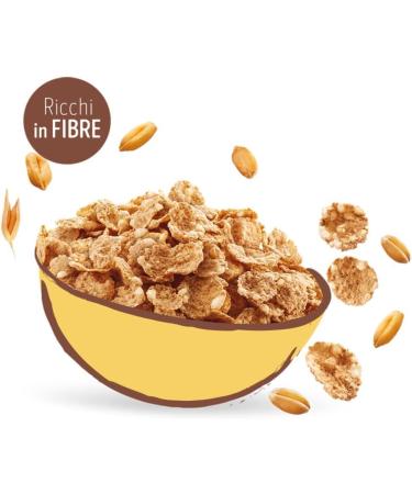  Italian Gourmet E.R. Misura Cereali Whole Wheat Protein Rice and Oats High in Protein and Fibre 320g + Italian Gourmet Polpa 400g - Buy Online on GoSupps.com