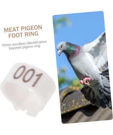 CORHAD 100 Pcs Pigeon Anklet Pigeons Identification Ring Duck Leg Number Plastic White Products 1.3X1.3CM White - Buy Online on GoSupps.com