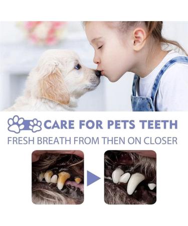 PICKX Teeth Cleaning Spray for Dogs &Cats Dental Plaque Gel Pet Spray Pet Oral Spray Clean Teeth Pet Breath Freshener Spray Care Cleaner Eliminate Bad Breath Targets Tartar Plaque (1PC) - Buy Online on GoSupps.com