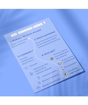 Dog Arthrosis - 60 bites - 11 natural active ingredients (Glucosamine Chondroitin MSM green lipped mussel devil's claw) - Dog Joints - Anti-inflammatory - Dog food supplement - Buy Online on GoSupps.com