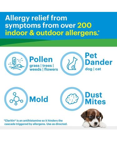 Claritin Non-Drowsy 24 Hour Allergy Relief Tablets - 2 Pack, 20 Ea - Indoor and Outdoor - Buy Online on GoSupps.com