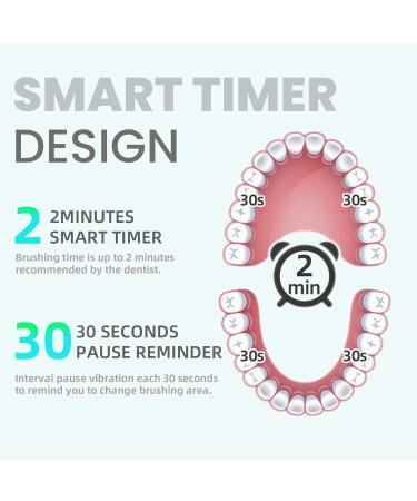 7AM2M Sonic Electric Toothbrush for Adults and Kids One Charge for 90 Days with 6 Brush Heads 5 Modes with 2 Minutes Build in Smart Timer Roman Column Handle Design(Purple) Purple No Travel Case - Buy Online on GoSupps.com