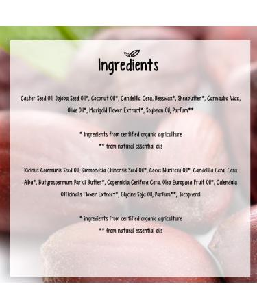 Alviana Classic Lip Balm (5 Pack) | Long-Lasting Moisturizer & Gentle Care | Organic Jojoba Oil Shea Butter & Beeswax Certified Natural Product for the Whole Family - Buy Online on GoSupps.com