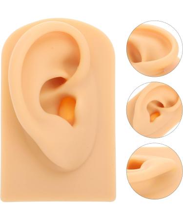 Frcolor Body Display Practice Props - Flexible Audio Simulation Training Kit for Ear Piercing Instruction 7.8x4.9cm - Buy Online on GoSupps.com
