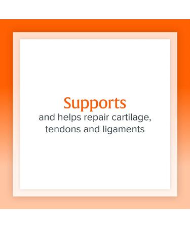 Natural Factors Glucosamine & Chondroitin 500mg400mg - Joint Support Supplement, 120 Capsules - Buy Online on GoSupps.com