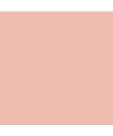 Neutrogena Hydro Boost Hydrating Foundation Stick | Classic Ivory | 0.29 oz - Buy Online on GoSupps.com