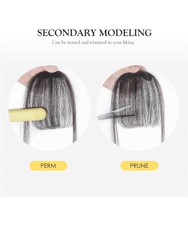 Clip in Bangs Real Human Hair Thin Bangs Clip on Air Bangs Natural Fashion Fringe Wispy Bangs Hair Extensions for Women(Natural Black) - Buy Online on GoSupps.com
