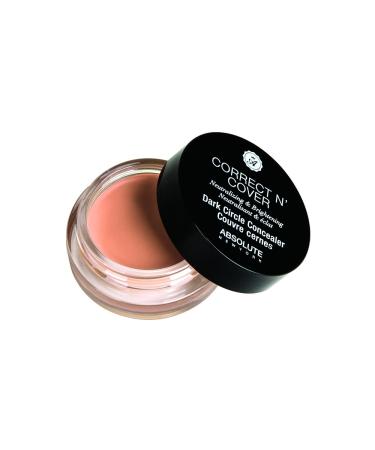 Absolute New York Correct 'n Cover Dark Circle Concealer (Medium)