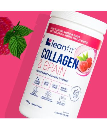 LEANFIT COLLAGEN & BRAIN Raspberry - 7g Collagen + Reishi + Ginkgo + Rhodiola - Enhances Memory & Cognitive Function in Adults - 25 Servings 245g tub - Buy Online on GoSupps.com