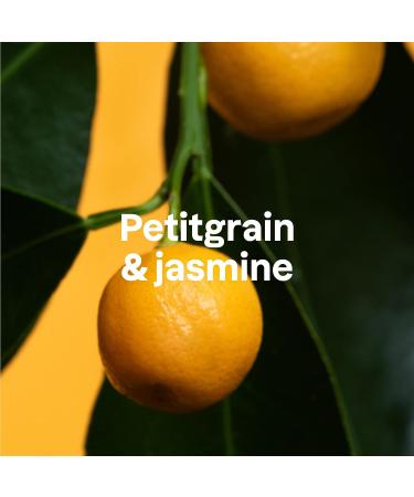 ATTITUDE Hand Soap 16 Fl Oz | EWG Verified, Vegan & Cruelty-Free | Plant-Based Ingredients | Refillable Aluminum Bottle | Petitgrain & Jasmine - Buy Online on GoSupps.com