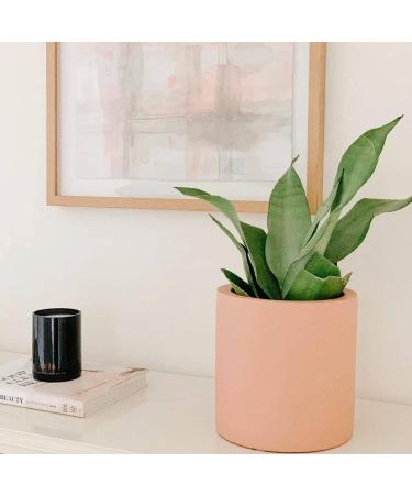 Buy Vancouver Candle Co. Discovery Candle - Non-Toxic Soy Wax Aromatherapy - Strong Scented 10oz Handmade Candle with Gift Box - International Shipping Available - Buy Online on GoSupps.com