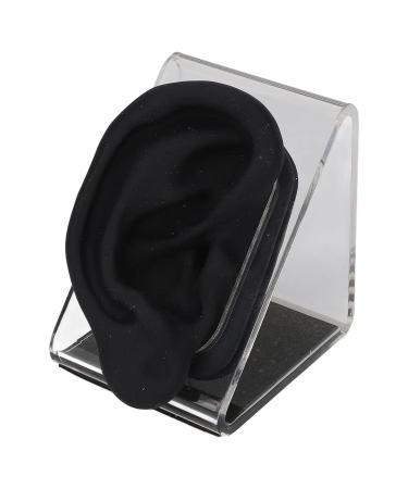 Acupuncture Ear Model Display | Human Ear Size for Centers - Shop Now! - Buy Online on GoSupps.com
