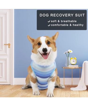 Newsbirds Dog Surgery Recovery Suit for Small Dogs - XL Blue | Post-Op Puppy Wound Protection - Buy Online on GoSupps.com