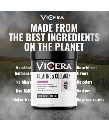 Chocolate Protein + Berry Flavor Creatine Collagen Powder A2/A2 Whey Casein Protein with Probiotics and Celtic Sea Salt (20 Servings) Creatine and Collagen Supplement Gluten Free (30 Servings) - Buy Online on GoSupps.com