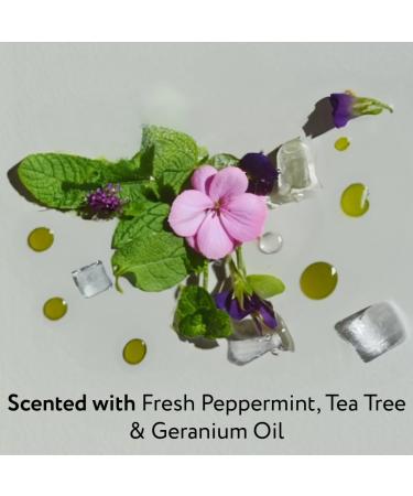 Elsa's Organic Skin Foods - Deodorant Cream - Ocean - Buy Online on GoSupps.com