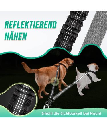 Buy NASJAC Double Dog Linen Coupler | Adjustable Reflective & Shock-Damping Shared Leash for 2 Dogs - Black & Gray - Buy Online on GoSupps.com